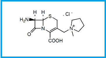 CEFEPIME EP IMPURITY E / CEFEPIME USP RC E